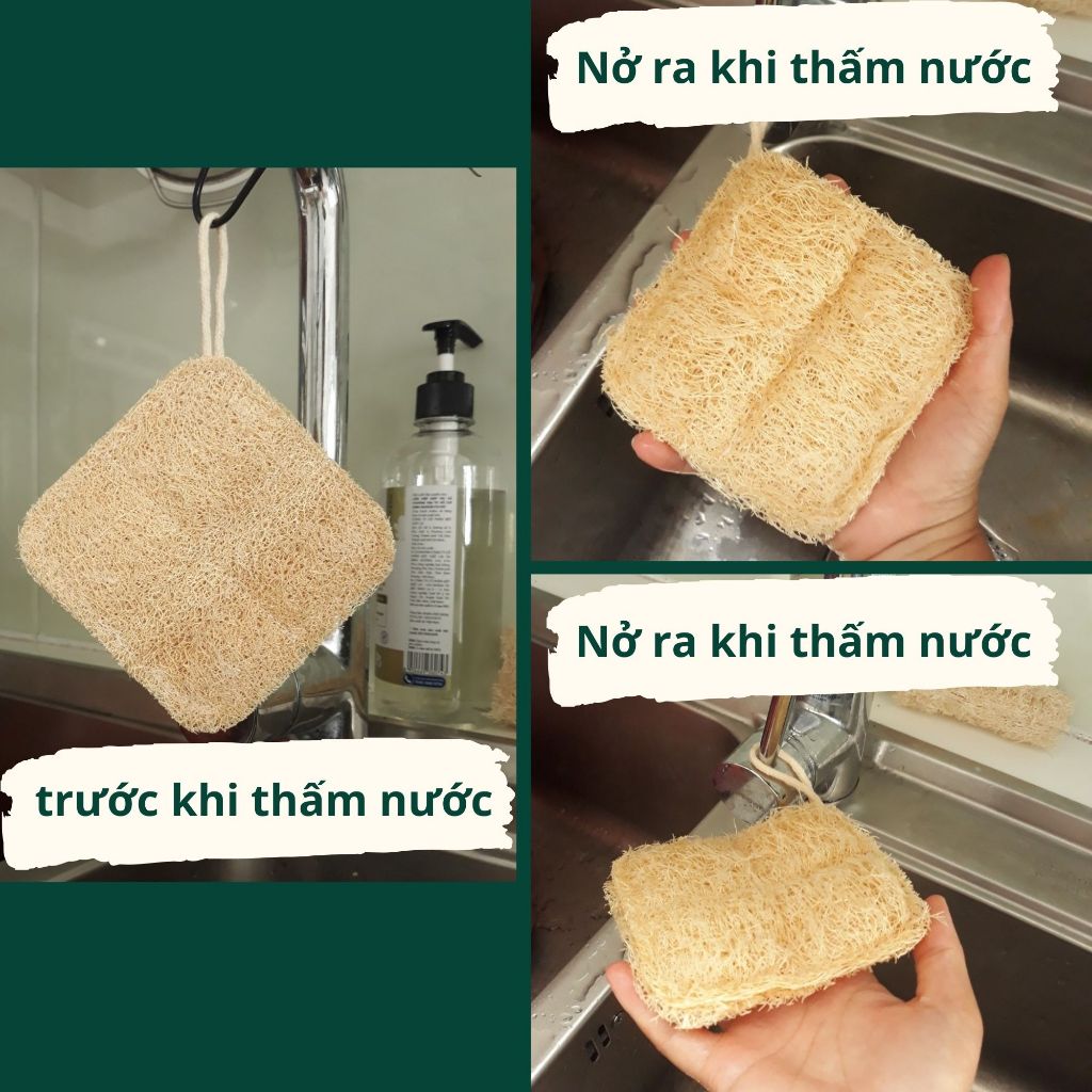 Miếng Rửa Chén Xơ Mướp Cỡ Lớn Hình Vuông - Miếng Chùi Nồi - Miếng Rửa Bát - Xơ Mướp Tắm Tẩy Da chết