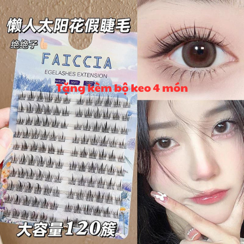 Lông Mi Giả Tách Sợi Trang Điểm Tự Nhiên Anime Cho Đôi Mắt Cuốn Hút ...