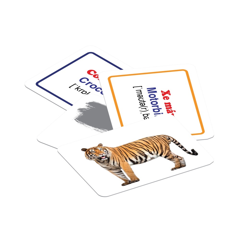 Sách - Bộ thẻ học thông minh Flashcard (18 chủ đề 288 thẻ song ngữ)