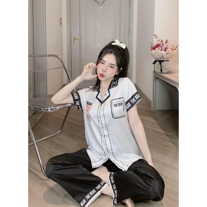 Gấu The baer TN