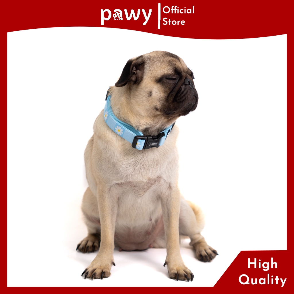 Ảnh Vòng Cổ Cho Chó Pawy - Daisy On The Sea - Dog Collar - Vòng Cổ Cho Mèo 2