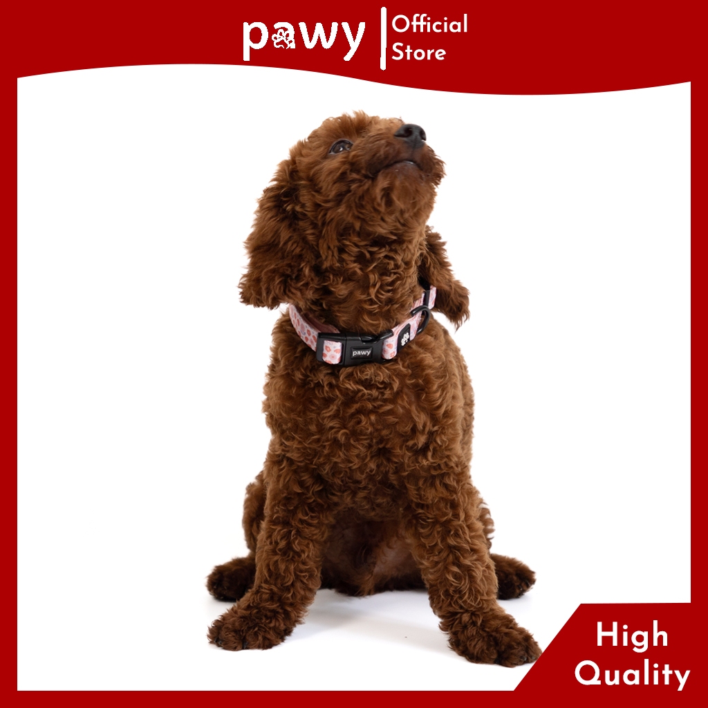 Ảnh Vòng Cổ Cho Chó Pawy - Blooming Dalat - Dog Collar - Vòng Cổ Cho Mèo 2