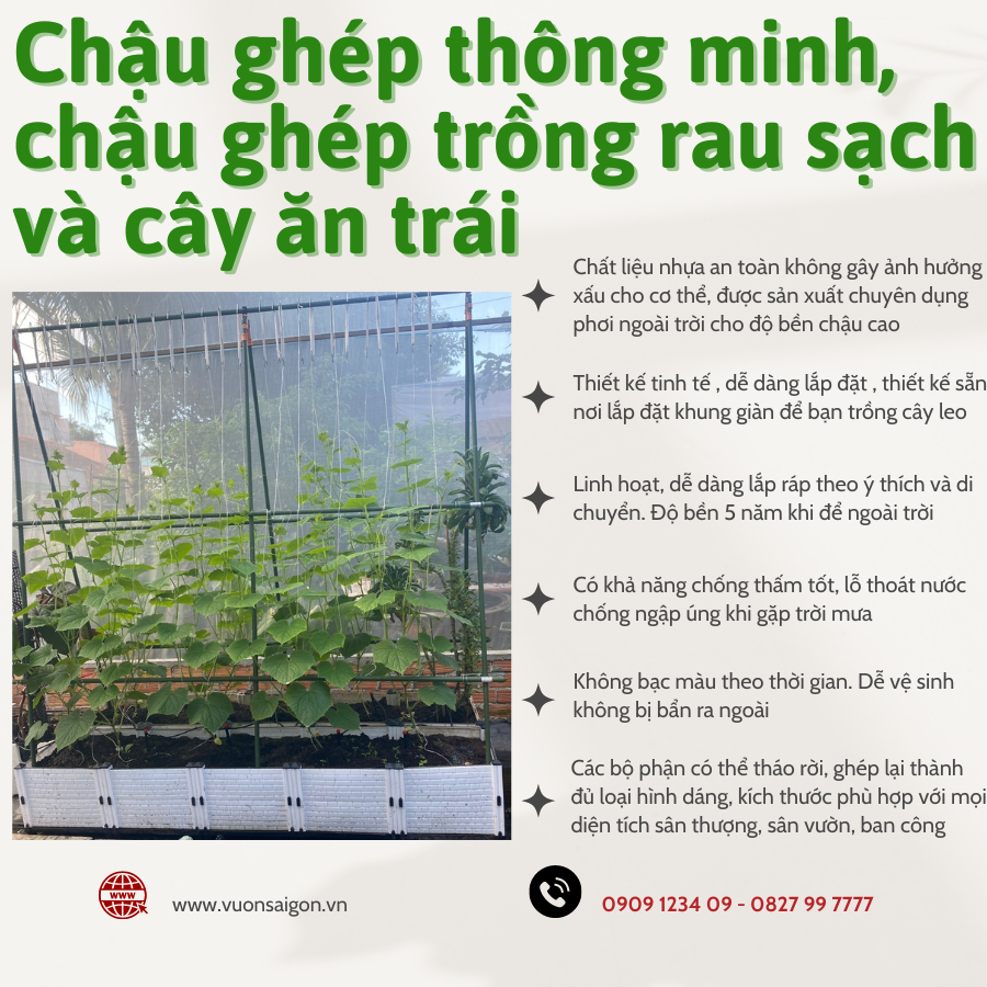 Chậu ghép thông minh, chậu ghép trồng rau sạch và cây ăn trái 7