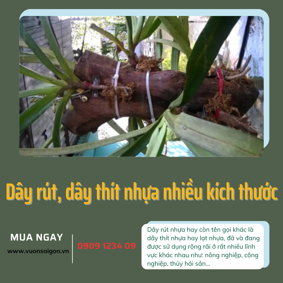 Dây rút, dây thít nhựa nhiều kích thước 3