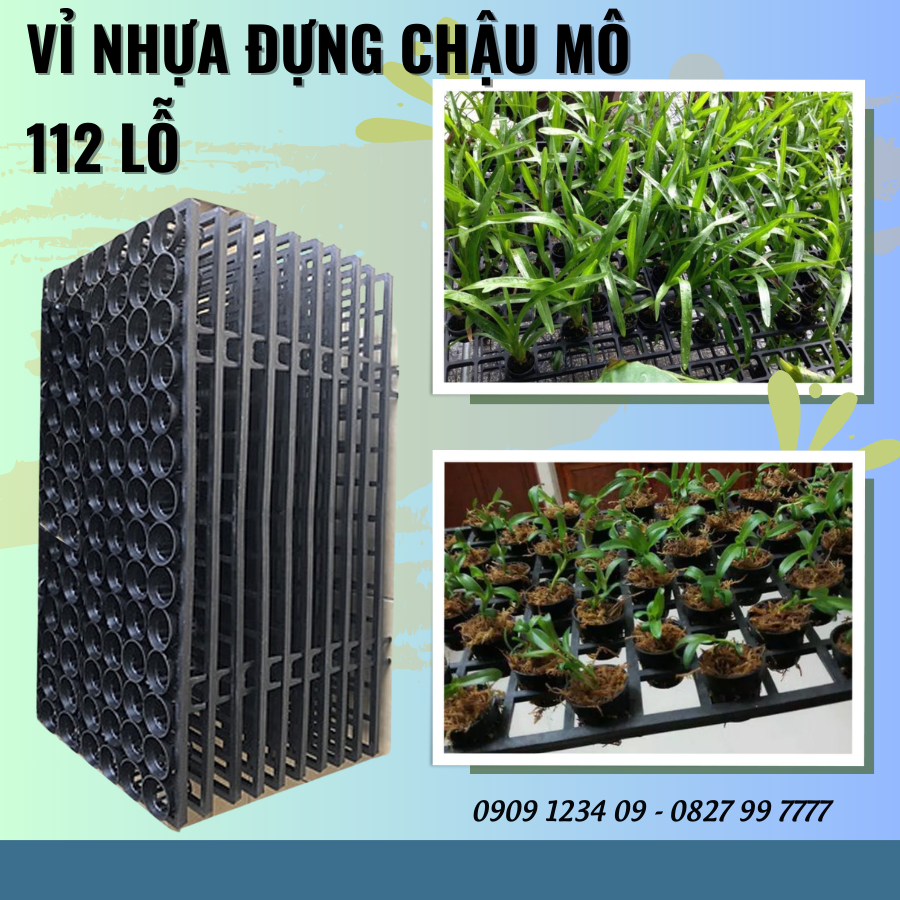 Vỉ nhựa đựng chậu nuôi cấy mô trồng lan 112 lỗ 3