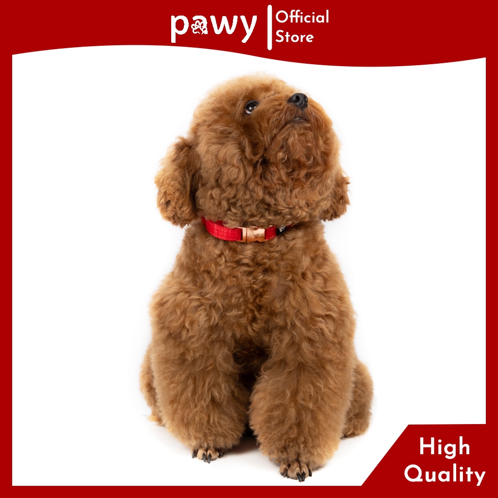 Ảnh Vòng Cổ Cho Chó Pawy - Luxwear - Red - Dog Collar - Vòng Cổ Cho Mèo 1