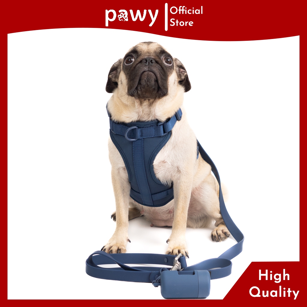 Ảnh Dây Dắt Cho Chó Pawy - Flexiwear - Màu Xanh Đen - PVC Waterproof Dog Leash 2