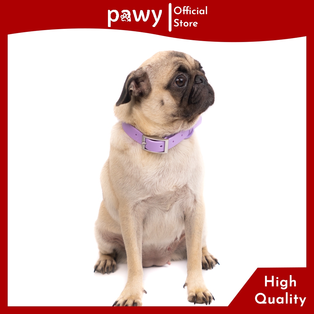 Ảnh Vòng Cổ Cho Chó Pawy - Flexiwear - Màu Tím - PVC Waterproof Dog Collar 2