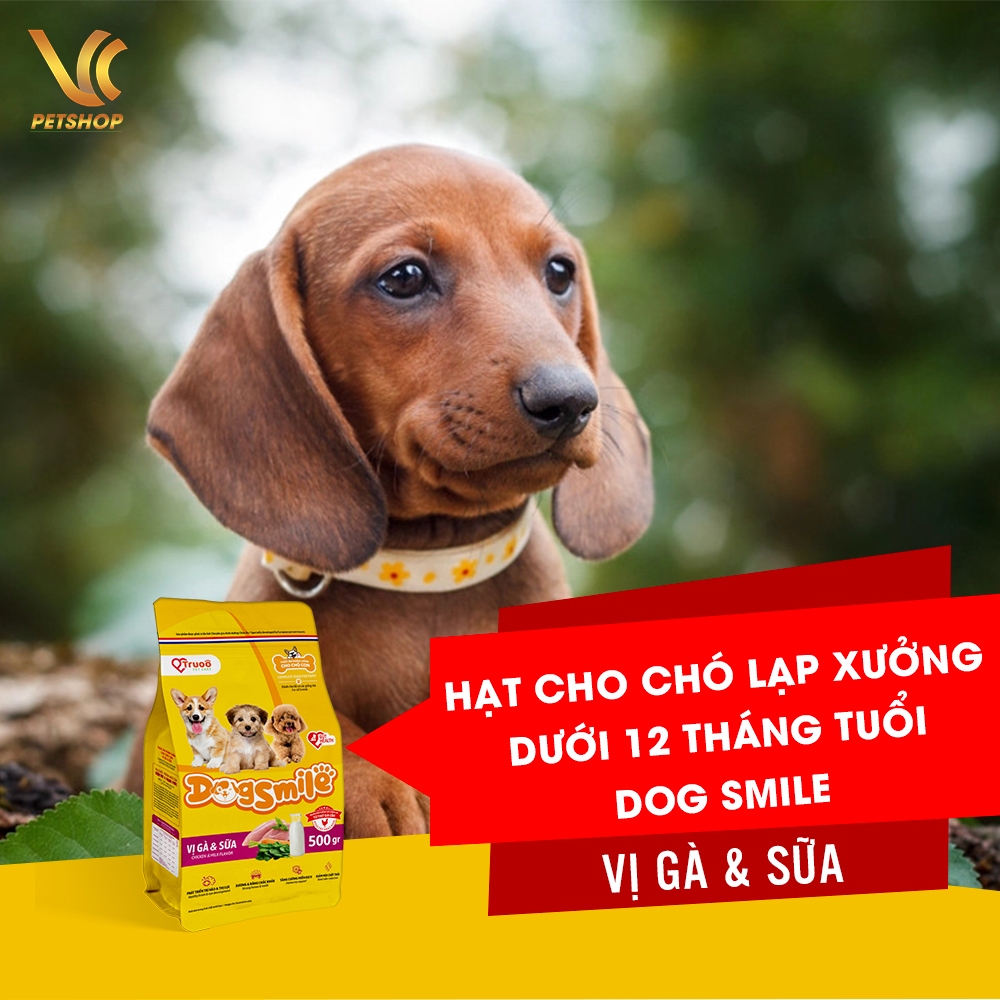 Thức Ăn Hạt Cho Chó Lạp Xưởng Con | Hạt Cho Chó Lạp Xưởng Trưởng Thành ...