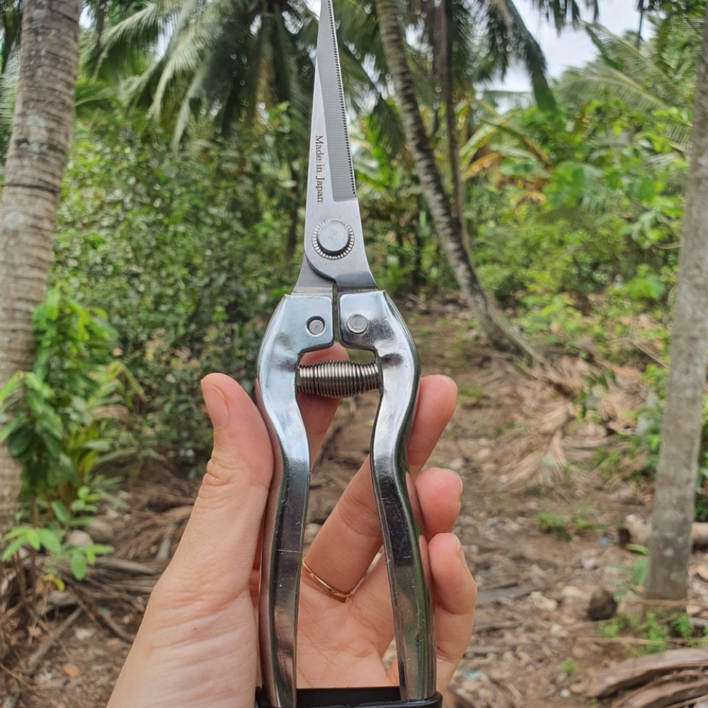 (FREESHIP) Bộ 5 Món Làm Vườn Cây Cảnh Bonsai ( Kéo cắt SK5, Kéo Tỉa, Cưa Lách, Cưa Gấp Kèm Lưỡi) - Dụng Cụ NN GD Smart