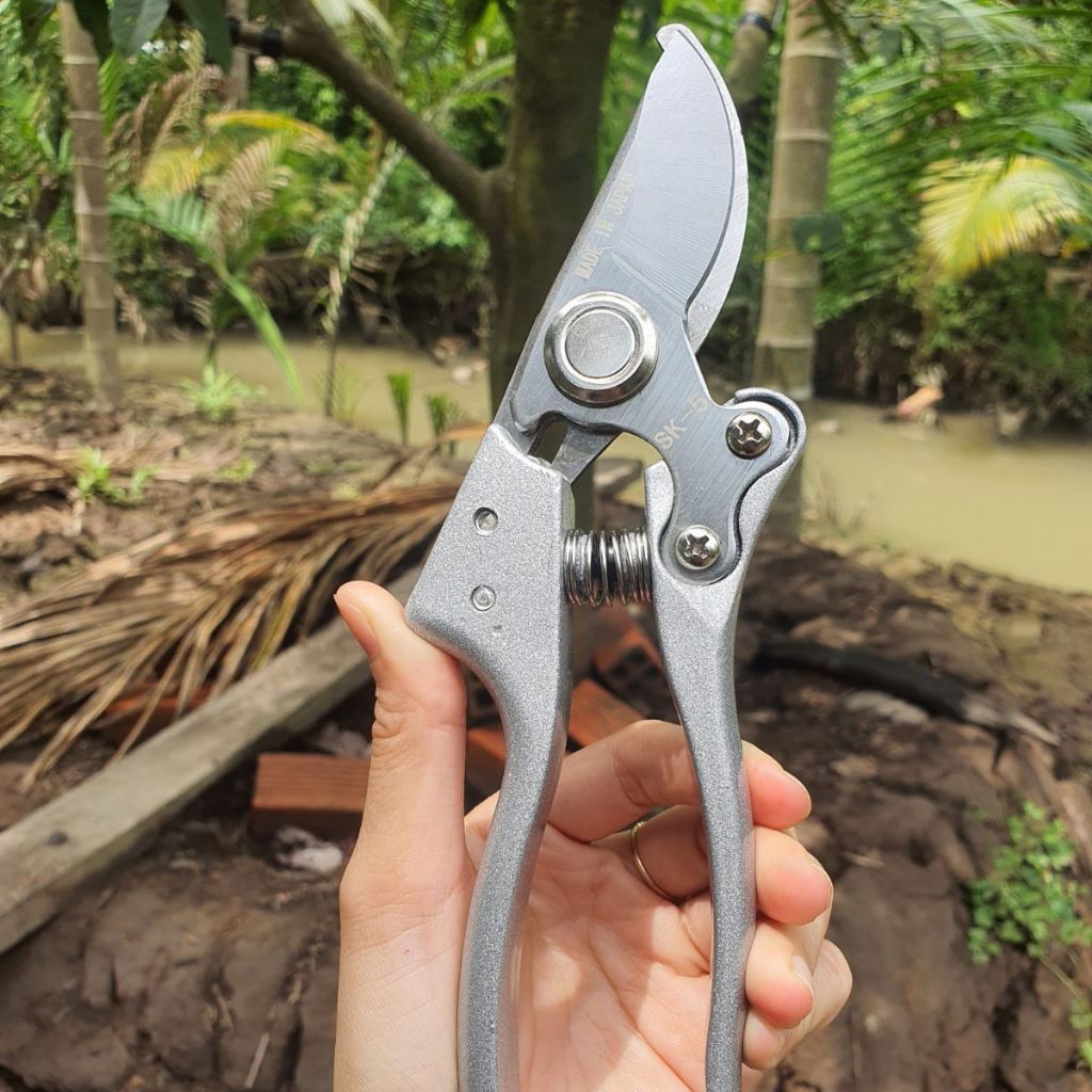 (FREESHIP) Bộ 5 Món Làm Vườn Cây Cảnh Bonsai ( Kéo cắt SK5, Kéo Tỉa, Cưa Lách, Cưa Gấp Kèm Lưỡi) - Dụng Cụ NN GD Smart