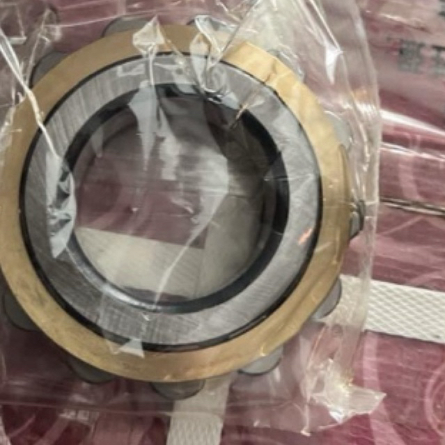Vòng Bi SKF RN309