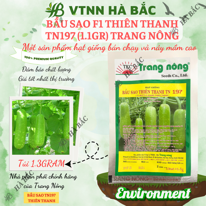 Bầu Sao F1 Thiên Thanh TN397 - TN197 (1.1gr), hạt giống nảy mầm tốt, năng suất cao, trông quanh năm - Hạt giống Hà Bắc