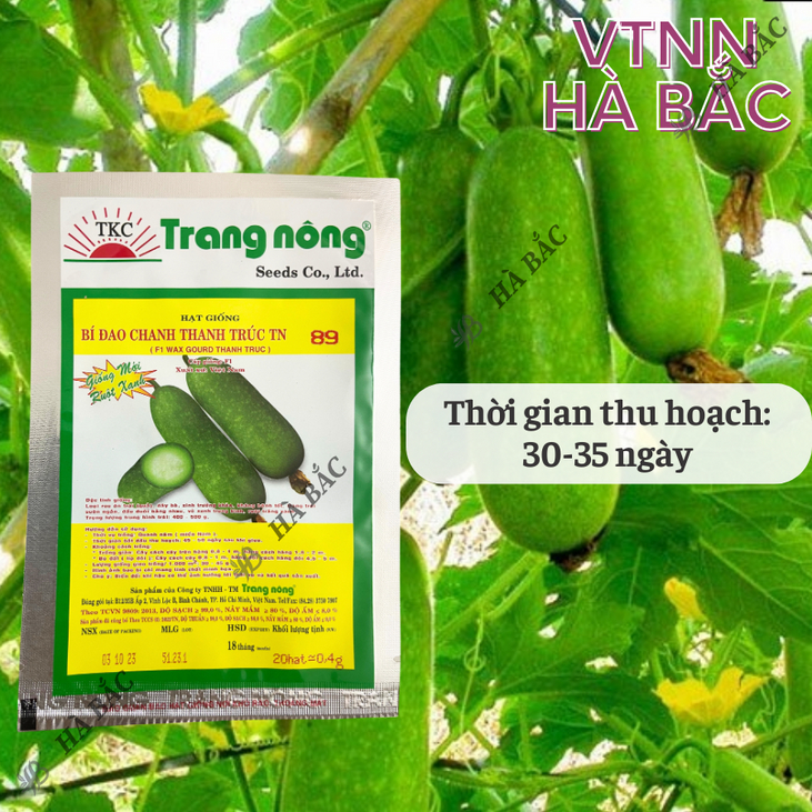 Bí Đao Chanh F1 Thanh Trúc TN88 - TN89 (0.3gr), hạt giống nảy mầm tốt, năng suất cao, trông quanh năm - Hạt giống Hà Bắc