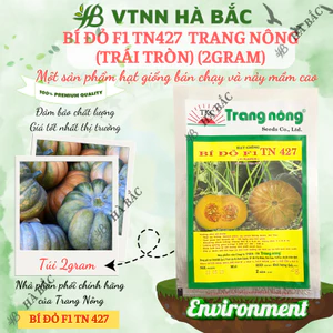 Bí Đỏ F1 TN427 (Trái Tròn) (2gram), hạt giống nảy mầm tốt, năng suất cao, trông quanh năm - Hạt giống Hà Bắc