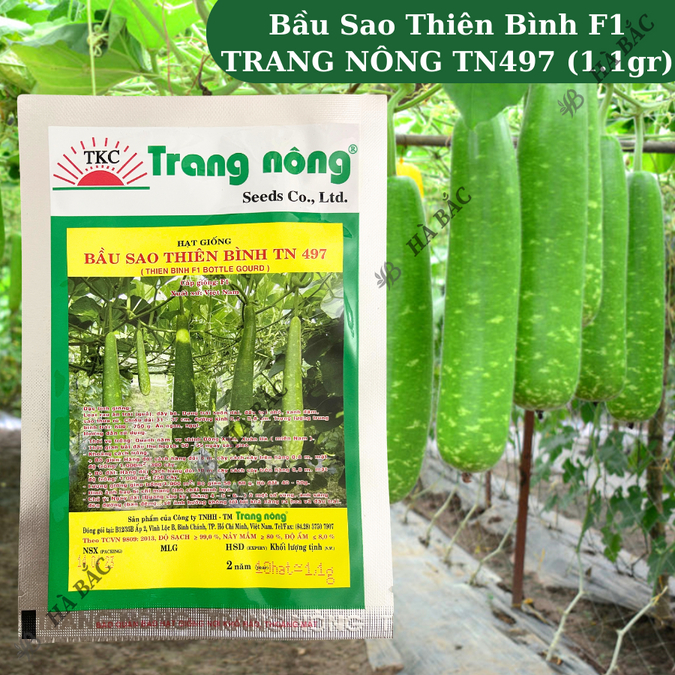 Bầu Sao Thiên Bình F1 TRANG NÔNG TN497 (1.1gr), hạt giống nảy mầm tốt, năng suất cao, trông quanh năm - Hạt giống Hà Bắc
