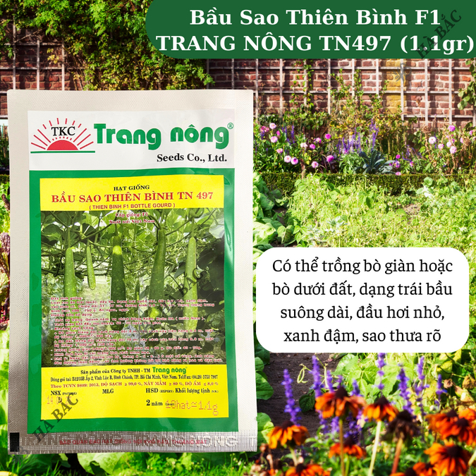 Bầu Sao Thiên Bình F1 TRANG NÔNG TN497 (1.1gr), hạt giống nảy mầm tốt, năng suất cao, trông quanh năm - Hạt giống Hà Bắc