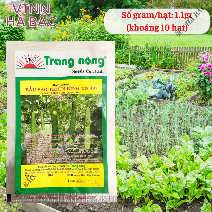 Bầu Sao Thiên Bình F1 TRANG NÔNG TN497 (1.1gr), hạt giống nảy mầm tốt, năng suất cao, trông quanh năm - Hạt giống Hà Bắc