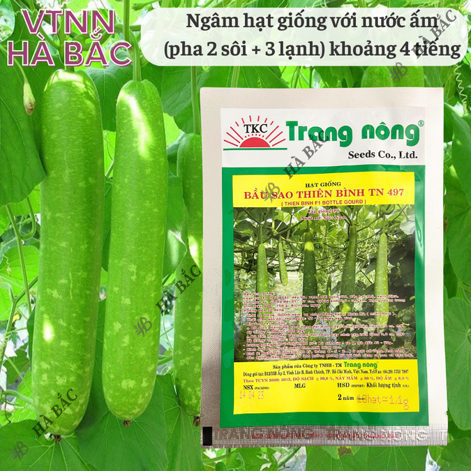 Bầu Sao Thiên Bình F1 TRANG NÔNG TN497 (1.1gr), hạt giống nảy mầm tốt, năng suất cao, trông quanh năm - Hạt giống Hà Bắc