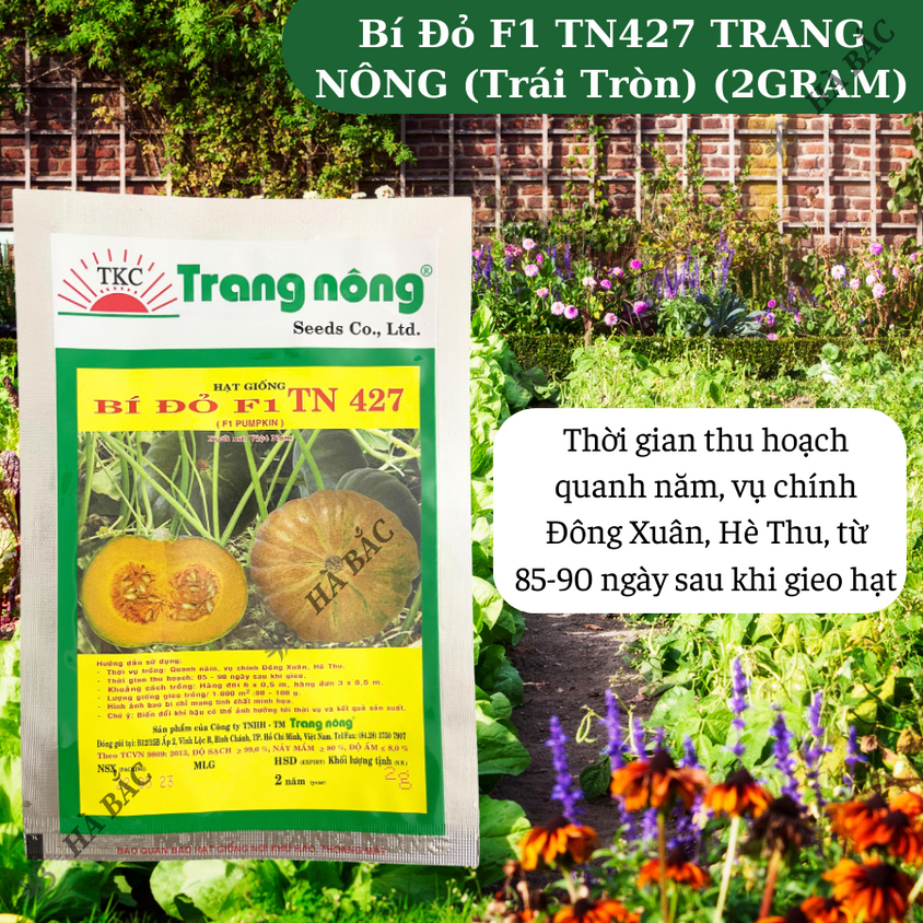 Bí Đỏ F1 TN427 (Trái Tròn) (2gram), hạt giống nảy mầm tốt, năng suất cao, trông quanh năm - Hạt giống Hà Bắc