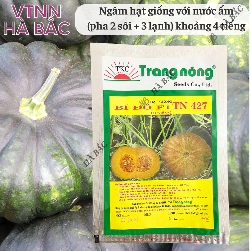 Bí Đỏ F1 TN427 (Trái Tròn) (2gram), hạt giống nảy mầm tốt, năng suất cao, trông quanh năm - Hạt giống Hà Bắc