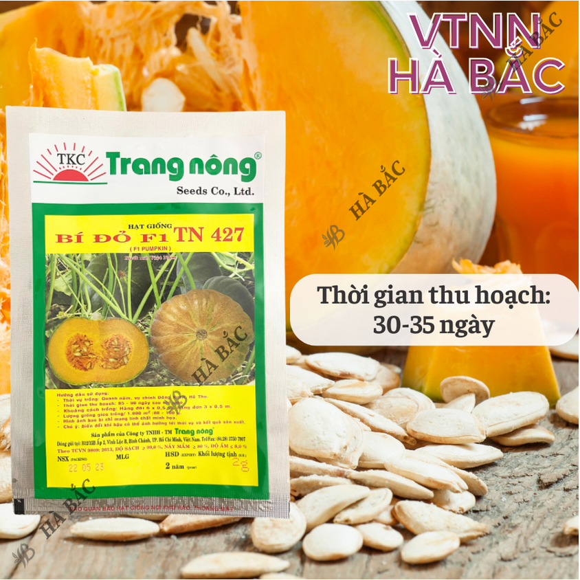 Bí Đỏ F1 TN427 (Trái Tròn) (2gram), hạt giống nảy mầm tốt, năng suất cao, trông quanh năm - Hạt giống Hà Bắc