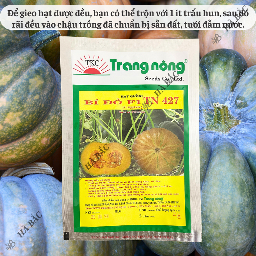 Bí Đỏ F1 TN427 (Trái Tròn) (2gram), hạt giống nảy mầm tốt, năng suất cao, trông quanh năm - Hạt giống Hà Bắc