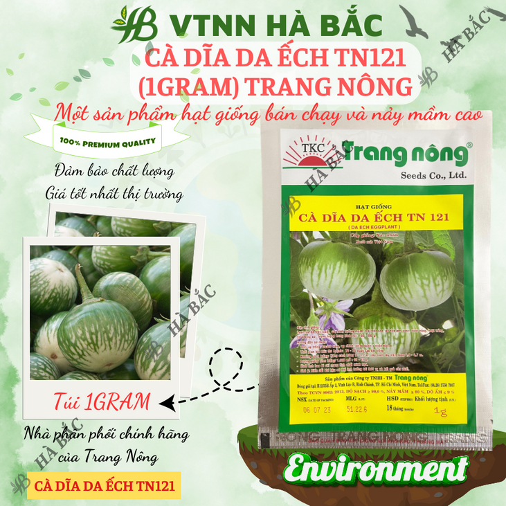 Cà Dĩa Da Ếch TN121 (1gr) Trang Nông, hạt giống nảy mầm tốt, năng suất cao, trông quanh năm - Hạt giống Hà Bắc