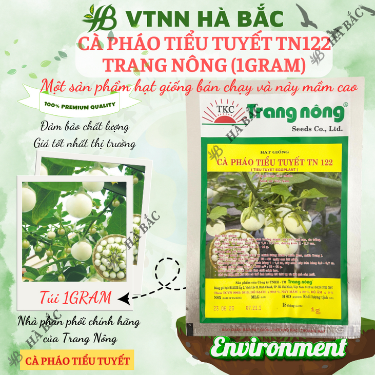 Cà Pháo Tiểu Tuyết TN122 (1gr) Trang Nông, hạt giống nảy mầm tốt, năng suất cao, trông quanh năm - Hạt giống Hà Bắc