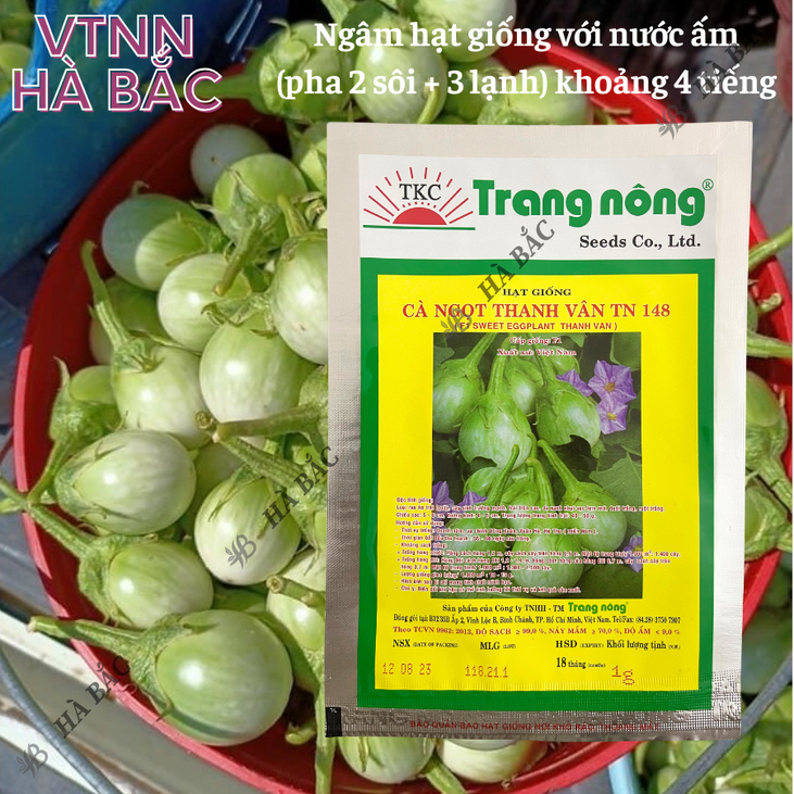Cà ngọt F1 Thanh Vân TN148 (1gr) Trang Nông, hạt giống nảy mầm tốt, năng suất cao, trông quanh năm - Hạt giống Hà Bắc