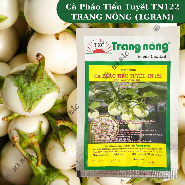 Cà Pháo Tiểu Tuyết TN122 (1gr) Trang Nông, hạt giống nảy mầm tốt, năng suất cao, trông quanh năm - Hạt giống Hà Bắc