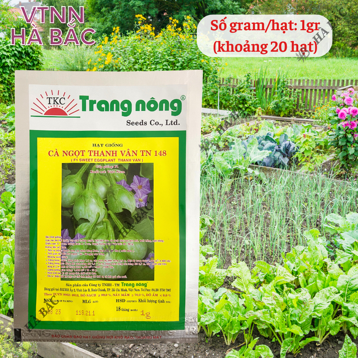 Cà ngọt F1 Thanh Vân TN148 (1gr) Trang Nông, hạt giống nảy mầm tốt, năng suất cao, trông quanh năm - Hạt giống Hà Bắc