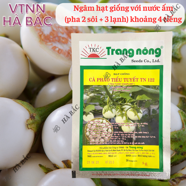 Cà Pháo Tiểu Tuyết TN122 (1gr) Trang Nông, hạt giống nảy mầm tốt, năng suất cao, trông quanh năm - Hạt giống Hà Bắc