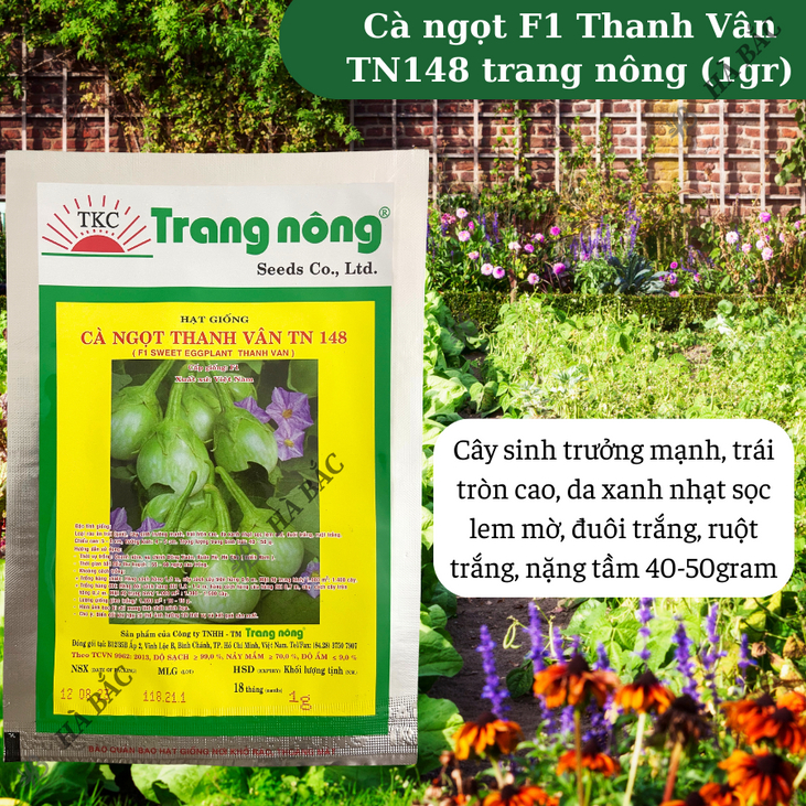 Cà ngọt F1 Thanh Vân TN148 (1gr) Trang Nông, hạt giống nảy mầm tốt, năng suất cao, trông quanh năm - Hạt giống Hà Bắc