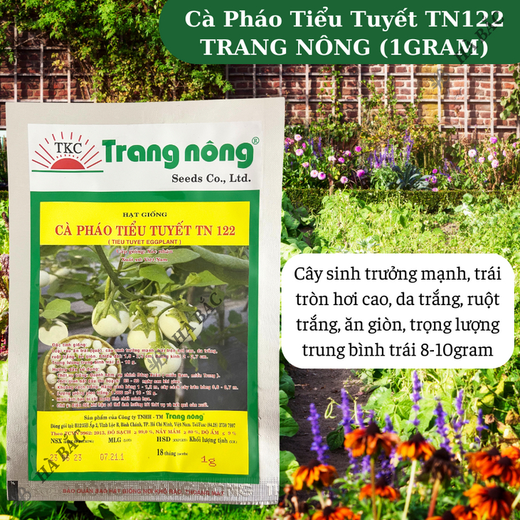 Cà Pháo Tiểu Tuyết TN122 (1gr) Trang Nông, hạt giống nảy mầm tốt, năng suất cao, trông quanh năm - Hạt giống Hà Bắc