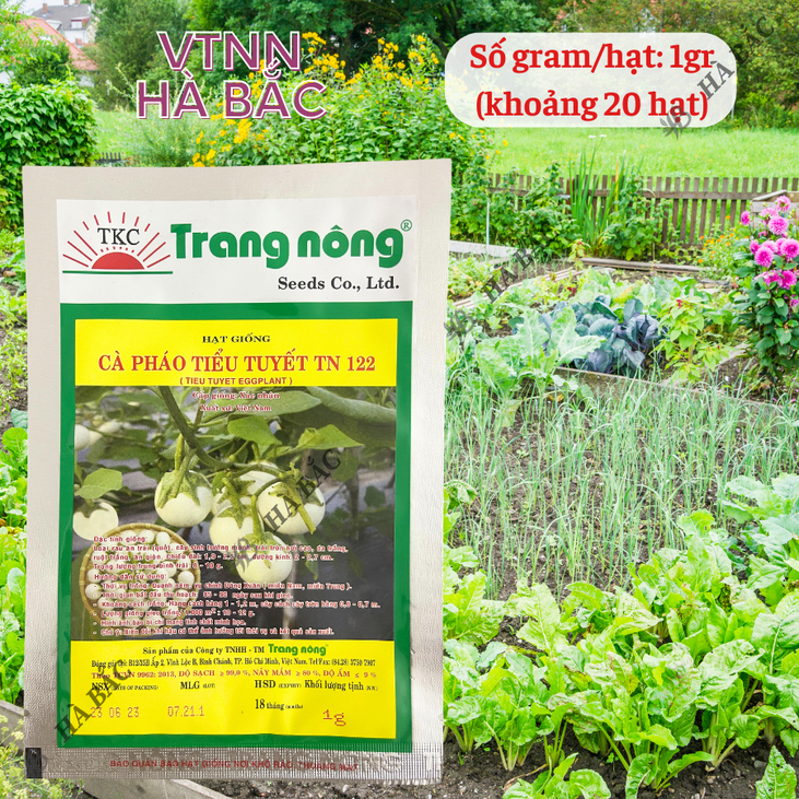 Cà Pháo Tiểu Tuyết TN122 (1gr) Trang Nông, hạt giống nảy mầm tốt, năng suất cao, trông quanh năm - Hạt giống Hà Bắc