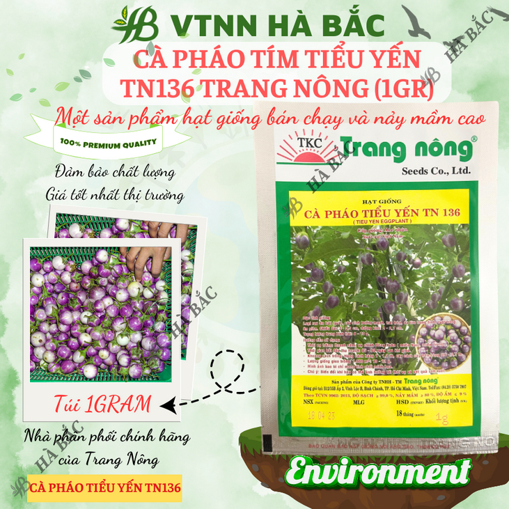Cà Pháo Tím Tiểu Yến TN136 (1gr) Trang Nông, hạt giống nảy mầm tốt, năng suất cao, trông quanh năm - Hạt giống Hà Bắc