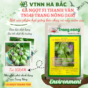 Cà ngọt F1 Thanh Vân TN148 (1gr) Trang Nông, hạt giống nảy mầm tốt, năng suất cao, trông quanh năm - Hạt giống Hà Bắc