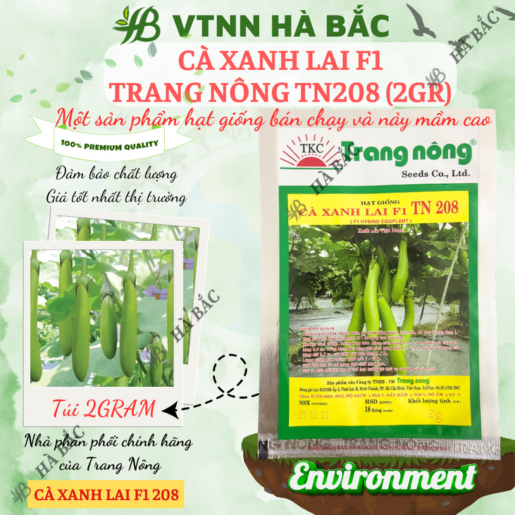 Cà Xanh Lai F1 TN208 (2gr) Trang Nông, hạt giống nảy mầm tốt, năng suất cao, trông quanh năm - Hạt giống Hà Bắc
