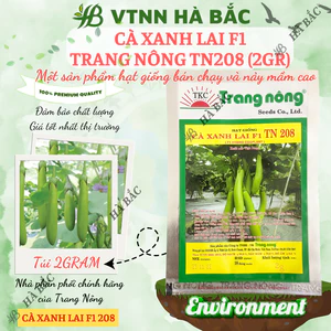 Cà Xanh Lai F1 TN208 (2gr) Trang Nông, hạt giống nảy mầm tốt, năng suất cao, trông quanh năm - Hạt giống Hà Bắc