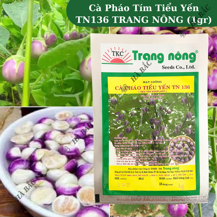 Cà Pháo Tím Tiểu Yến TN136 (1gr) Trang Nông, hạt giống nảy mầm tốt, năng suất cao, trông quanh năm - Hạt giống Hà Bắc