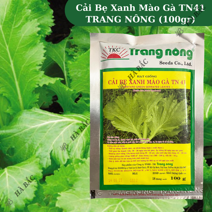 Cải Bẹ Xanh Mào Gà TN41 (100gr) Trang Nông, hạt giống nảy mầm tốt, năng suất cao, trông quanh năm - Hạt giống Hà Bắc