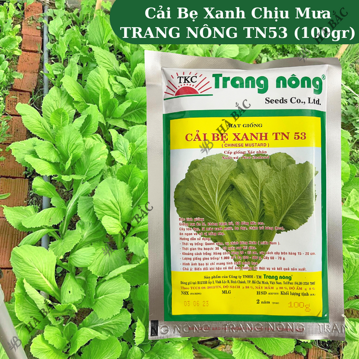 Cải Bẹ Xanh Chịu Mưa TRANG NÔNG TN53 (100gr), hạt giống nảy mầm tốt, năng suất cao, trông quanh năm - Hạt giống Hà Bắc