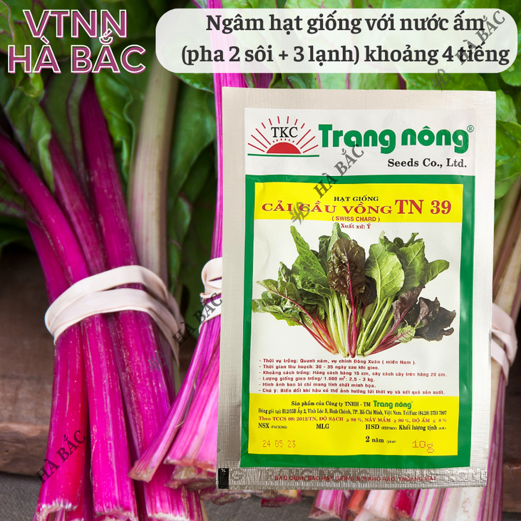 Cải Cầu Vồng TN39 (10gr) Trang Nông, hạt giống nảy mầm tốt, năng suất cao, trông quanh năm - Hạt giống Hà Bắc