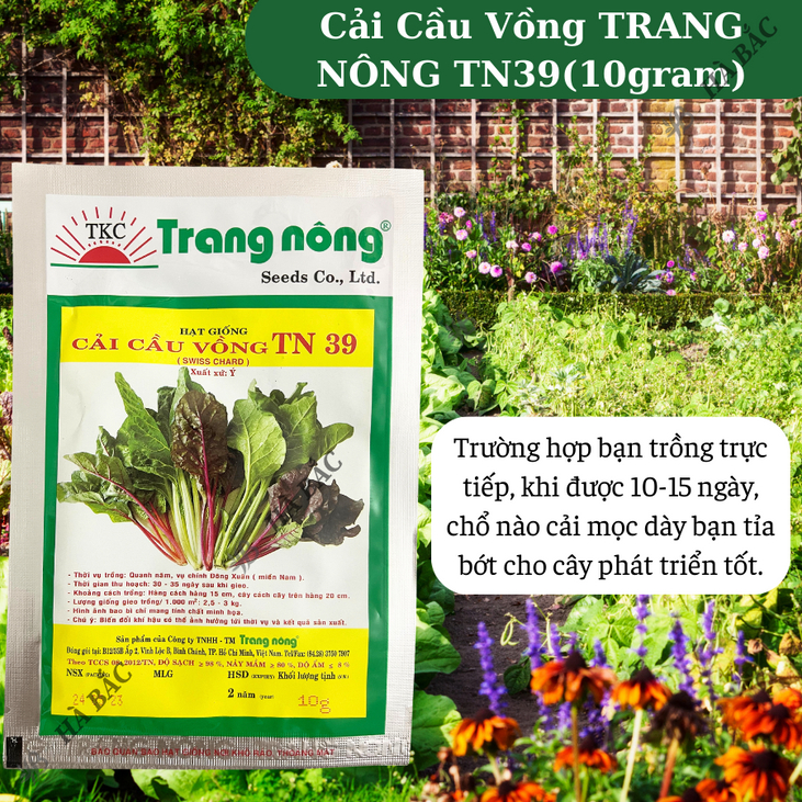 Cải Cầu Vồng TN39 (10gr) Trang Nông, hạt giống nảy mầm tốt, năng suất cao, trông quanh năm - Hạt giống Hà Bắc
