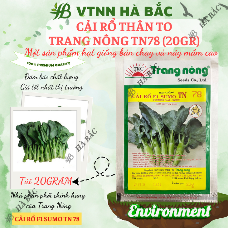 Cải Rổ Thân To TN78 (20gr) Trang Nông, hạt giống nảy mầm tốt, năng suất cao, trông quanh năm - Hạt giống Hà Bắc