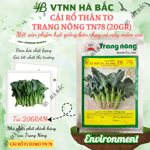 Cải Rổ Thân To TN78 (20gr) Trang Nông, hạt giống nảy mầm tốt, năng suất cao, trông quanh năm - Hạt giống Hà Bắc