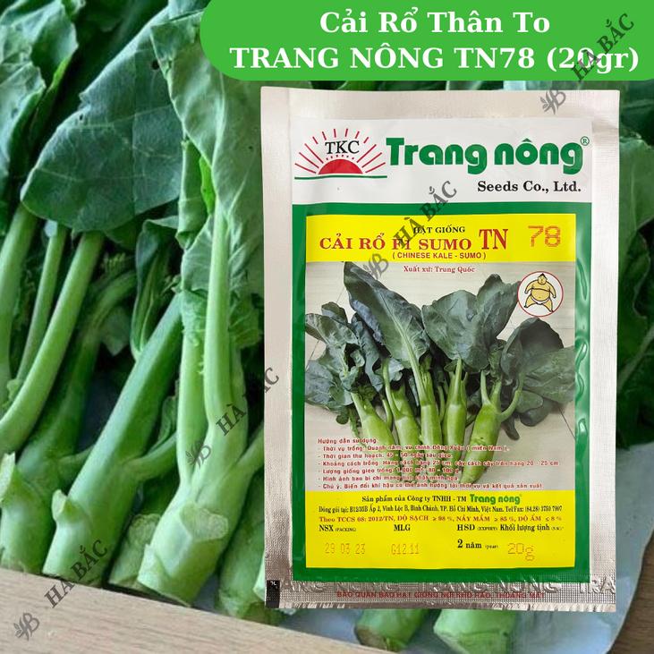 Cải Rổ Thân To TN78 (20gr) Trang Nông, hạt giống nảy mầm tốt, năng suất cao, trông quanh năm - Hạt giống Hà Bắc
