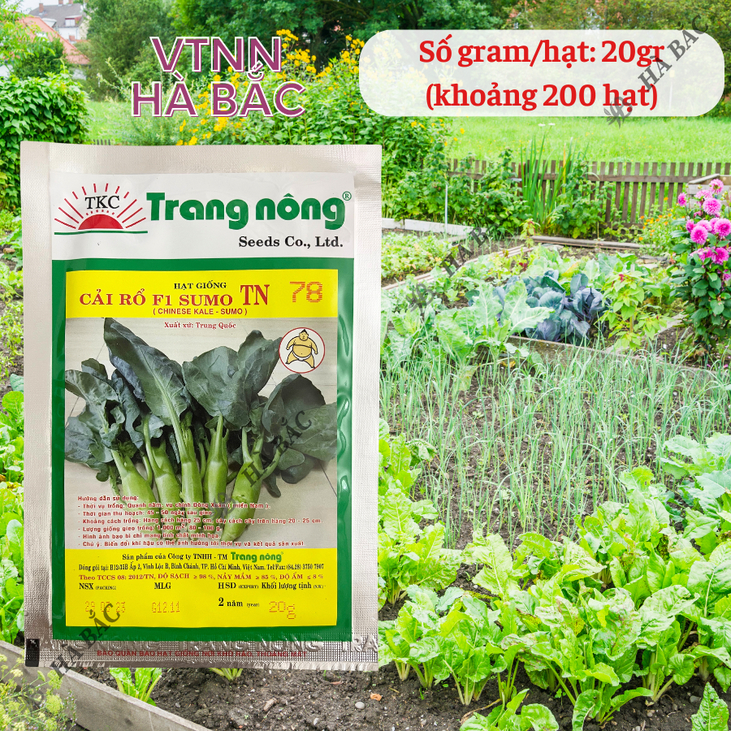 Cải Rổ Thân To TN78 (20gr) Trang Nông, hạt giống nảy mầm tốt, năng suất cao, trông quanh năm - Hạt giống Hà Bắc
