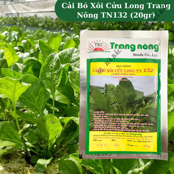 Cải Bó Xôi Cửu Long trang nông TN132 (20gr), hạt giống nảy mầm tốt, năng suất cao, trông quanh năm - Hạt giống Hà Bắc